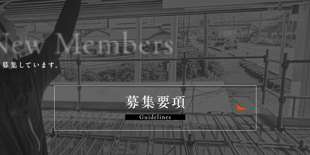 bnrhalf_guidelines_off